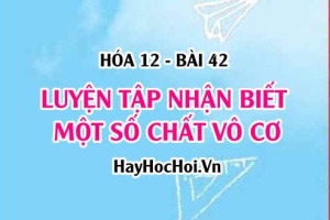 Luyện tập nhận biết một số chất vô cơ: Cation, Anion và chất khí - Hóa 12 bài 42